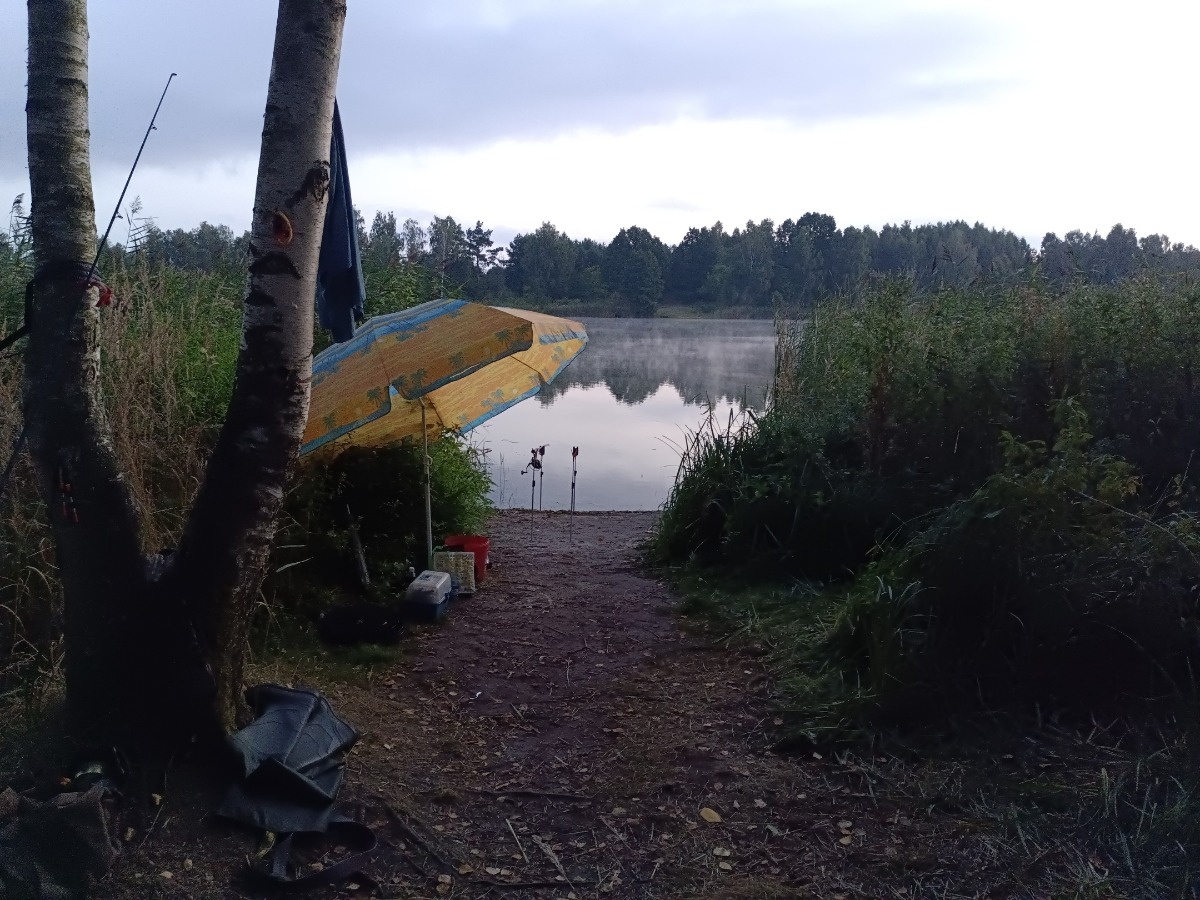 49415028-93b5-4549-a121-efbb04d1d092