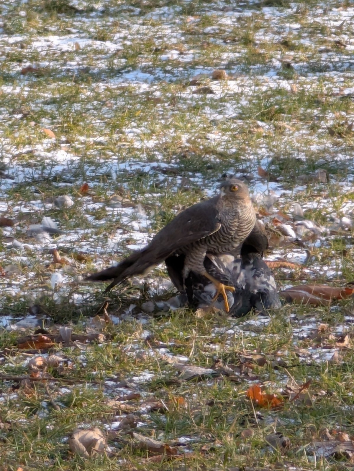 94fb3c85-3d2d-48a2-a567-6a1bb8b7bb96