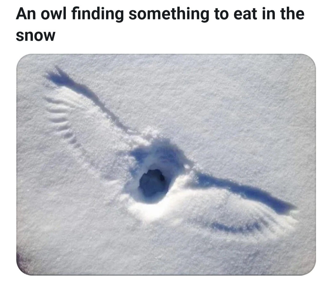 59cb8373-ee02-452a-933a-aa9dd0db8379