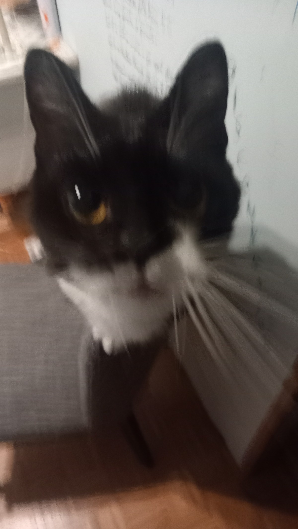 dc6301d1-2b76-44bd-9008-f469a6af97fb