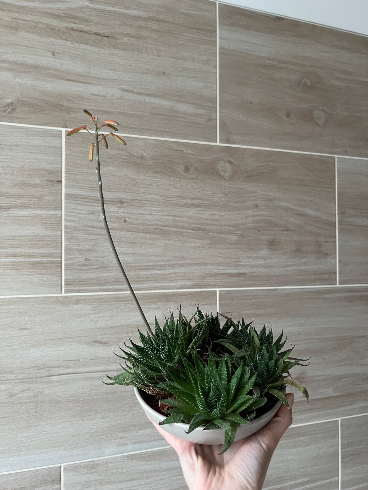 bb32f8e0-8968-435b-924e-8d9787509100