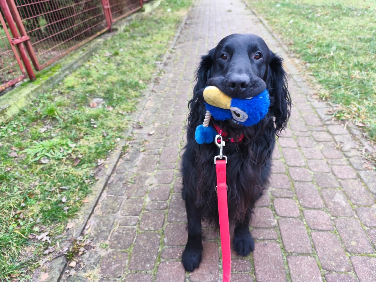 06363bc2-1754-4062-9e08-089e45d5e7c4