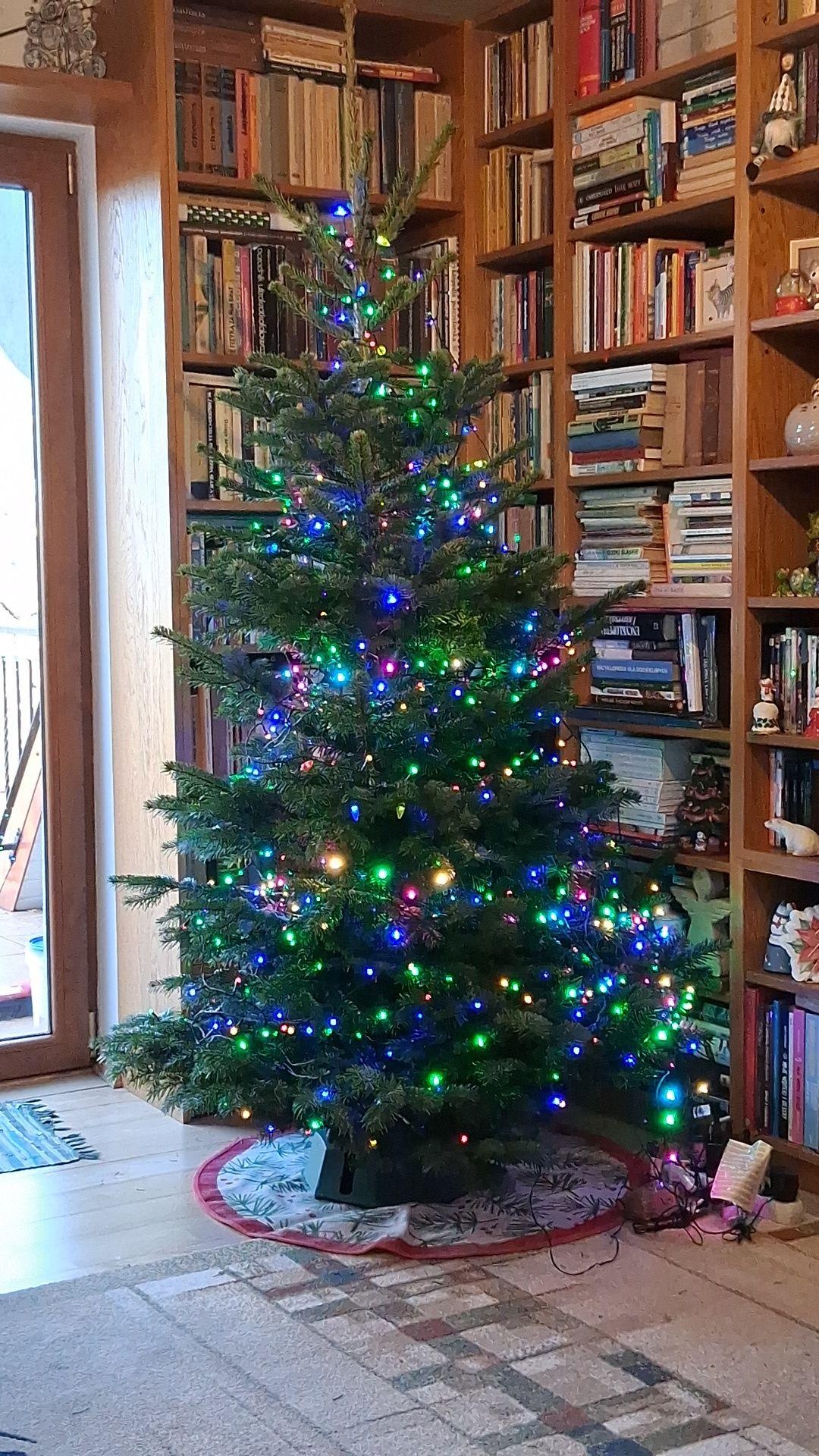 f50f034a-ca28-4582-8a84-f73866c4136d