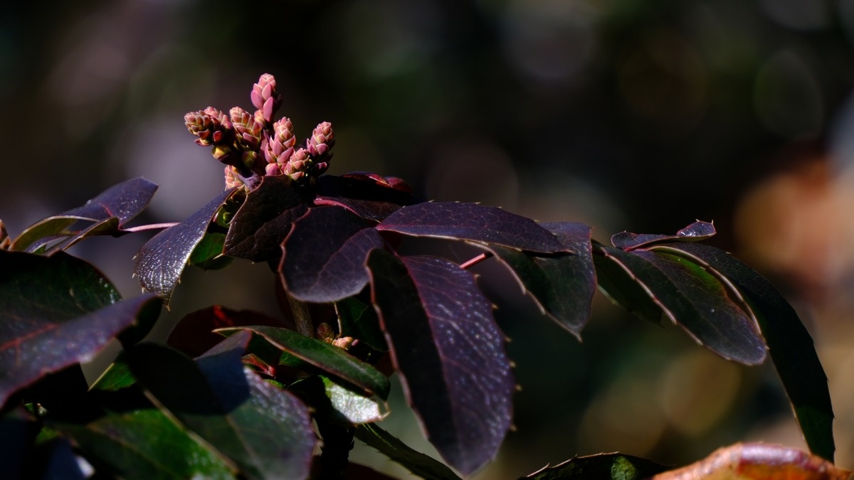 Relaksujące Przedwiośnie Spokojna Muzyka Wyciszająca Stres