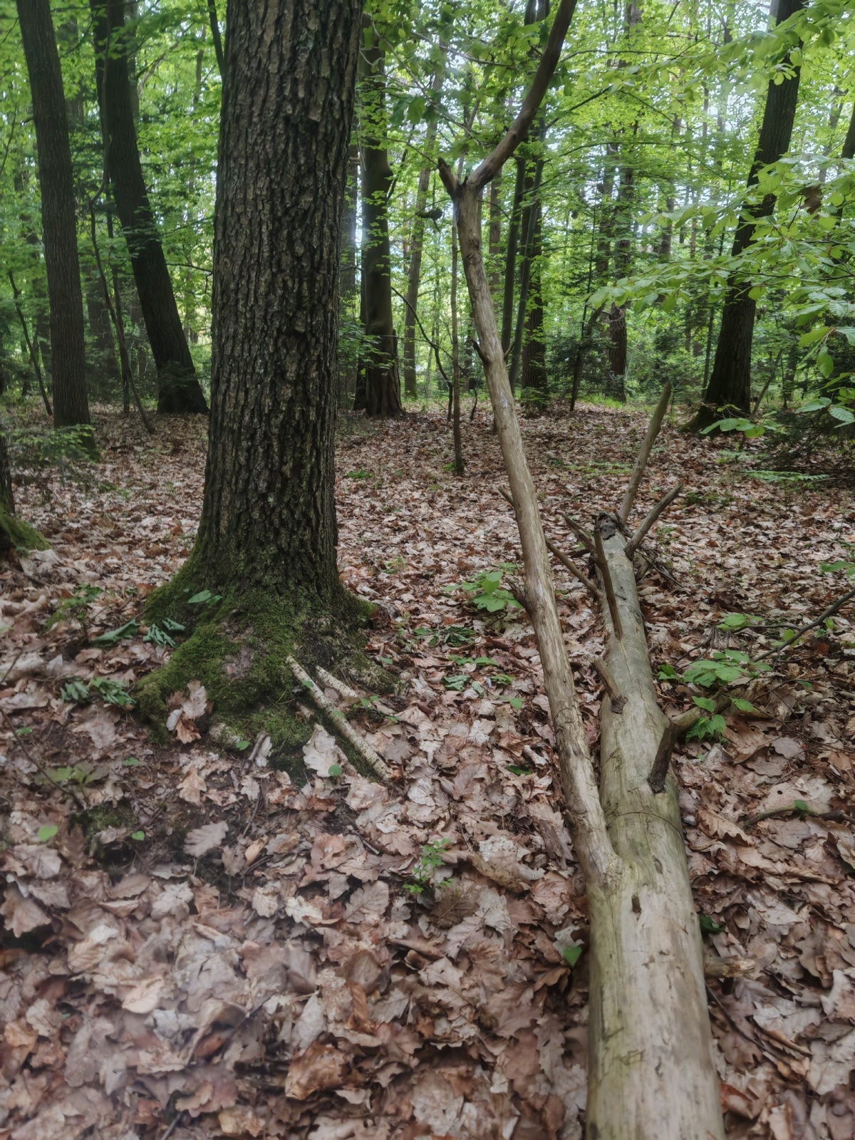 686a2aee-7611-4ce7-b3af-dd484f55c41d