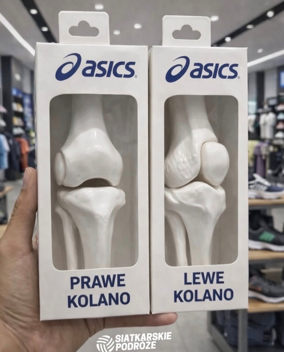 6501624b-85ec-4d97-89b5-61e16feaab01