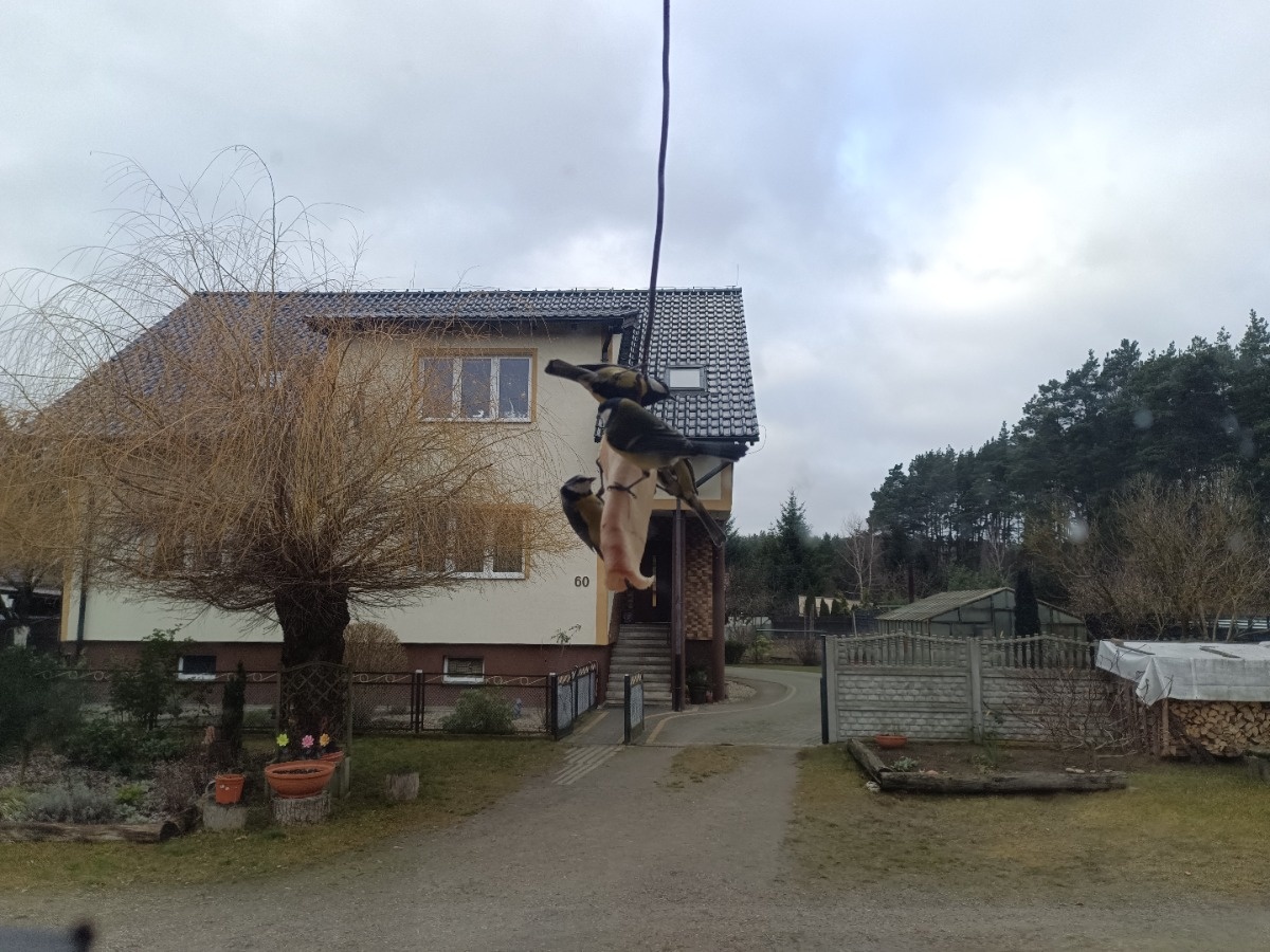 76d9173d-a298-4b9b-8b78-64f246575b8a