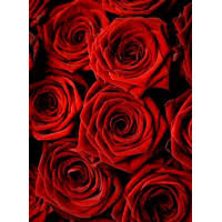 fbfe5b1e-3d22-40a7-808c-c507e81e089d