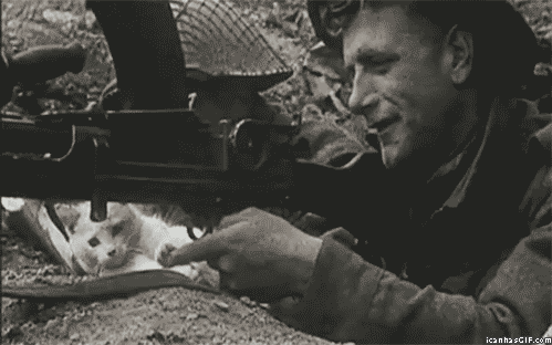 fcd5ac43-c774-4e49-abcc-179c2ecf3975