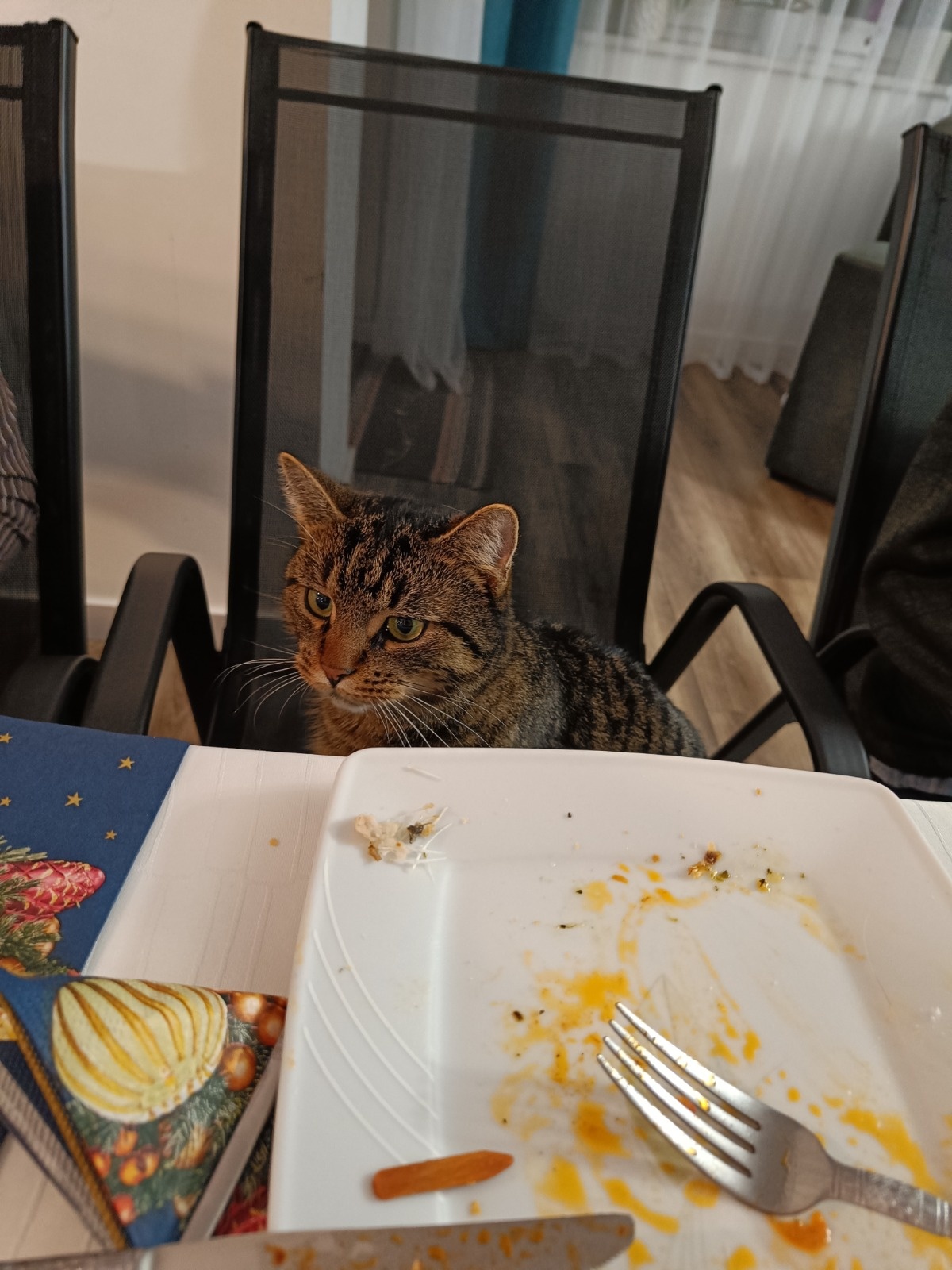 fecc72f3-9ab1-412f-bd6b-3cbee3803ab1