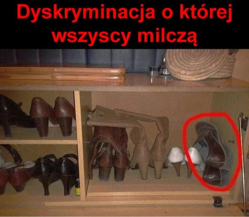 3d3fc095-185c-49b4-bc77-52e3e161de09