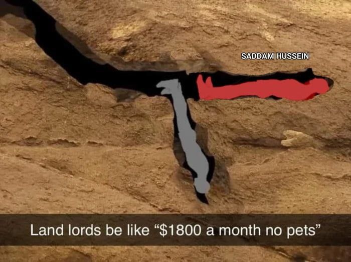 01995f15-93aa-4d3e-b83b-0bea84f9cb49