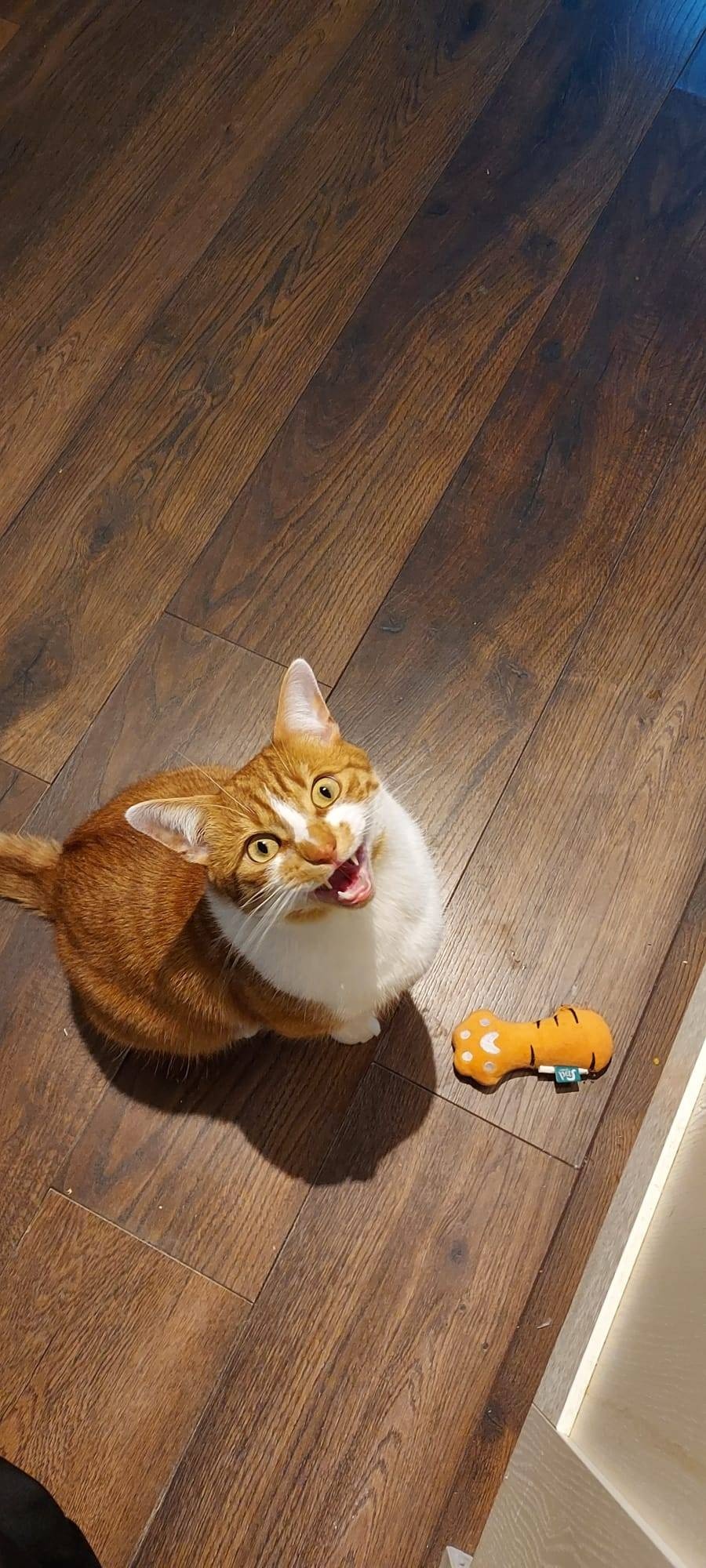 763ac533-a526-4ab6-aefa-1a4317553d21