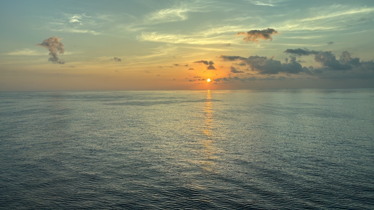 8a257900-f4e1-4164-b6fb-80450f4d6d2b