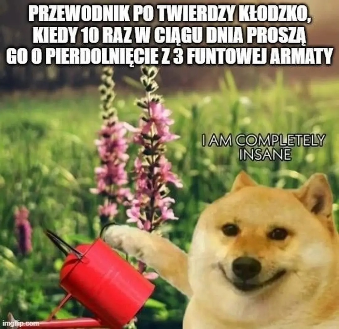 0fc2d1f7-b9f5-486e-955f-1537d9b8e800