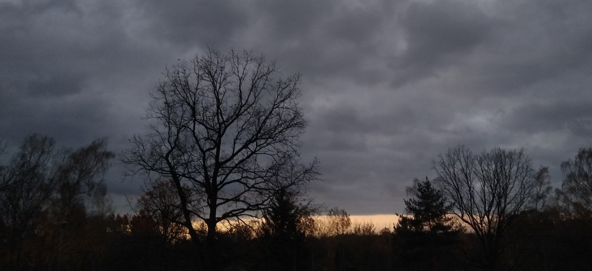 78bd069e-fd7d-4d82-b535-fe0c0dba1ee7