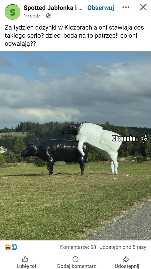 c86b641a-4665-4159-a2b8-df6ca3094c28