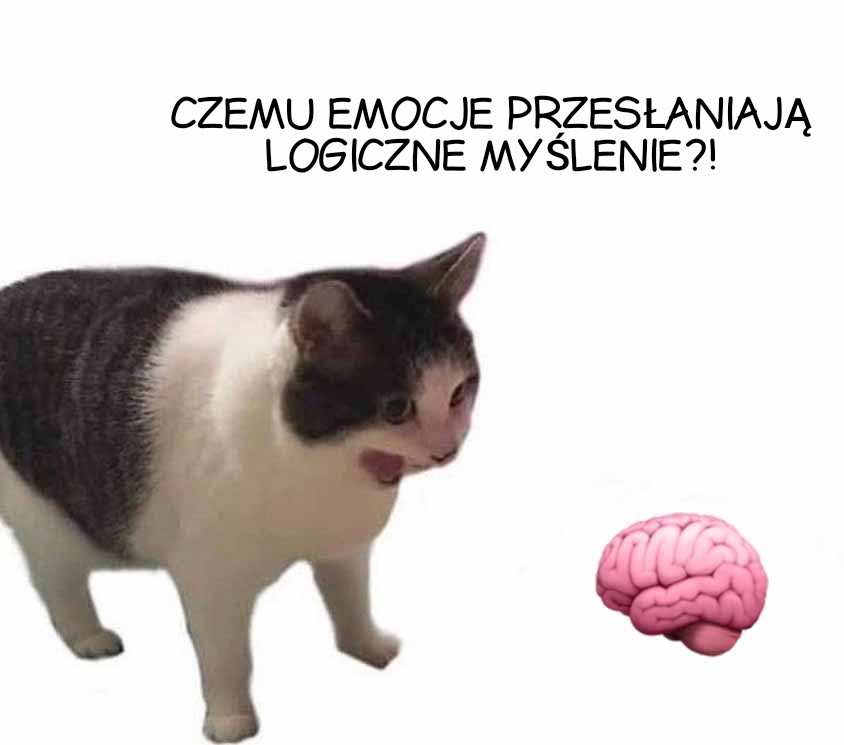 f1864e02-1d35-49f4-9fea-aad075347188