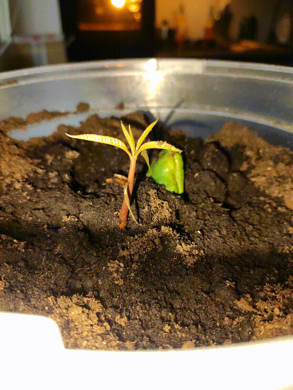 b56a480d-610f-4bd4-8478-1f11a5c0576b