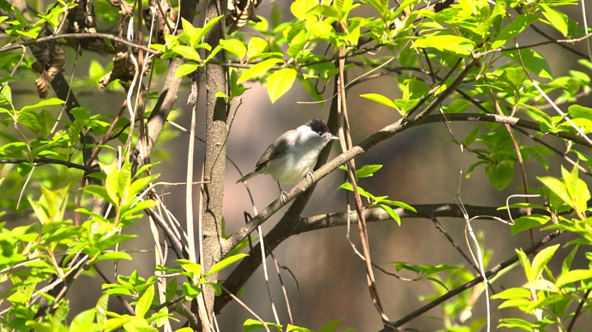 e581b632-bba7-4cc8-87bb-0039340476ed