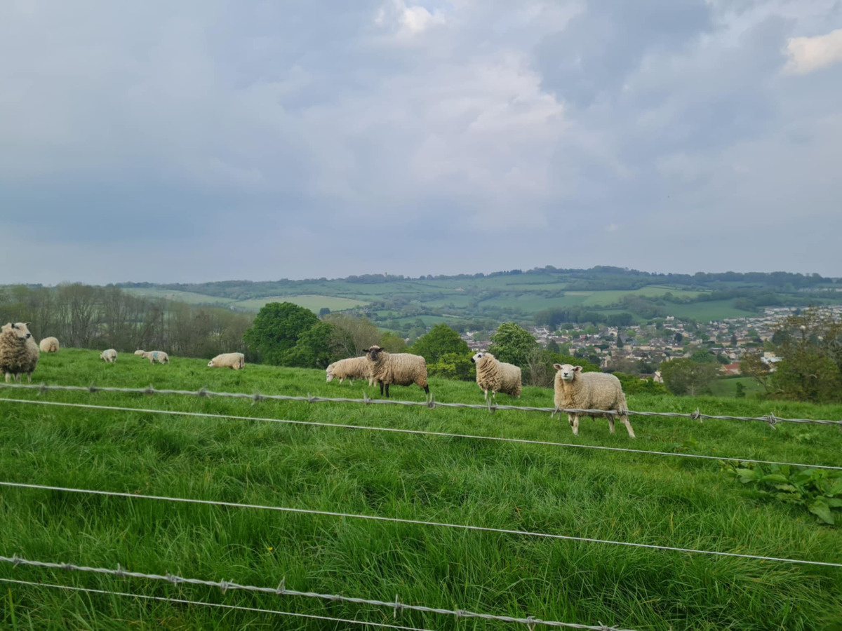 0b14b506-6bd0-4365-bd76-6b8f2a2f7c5c