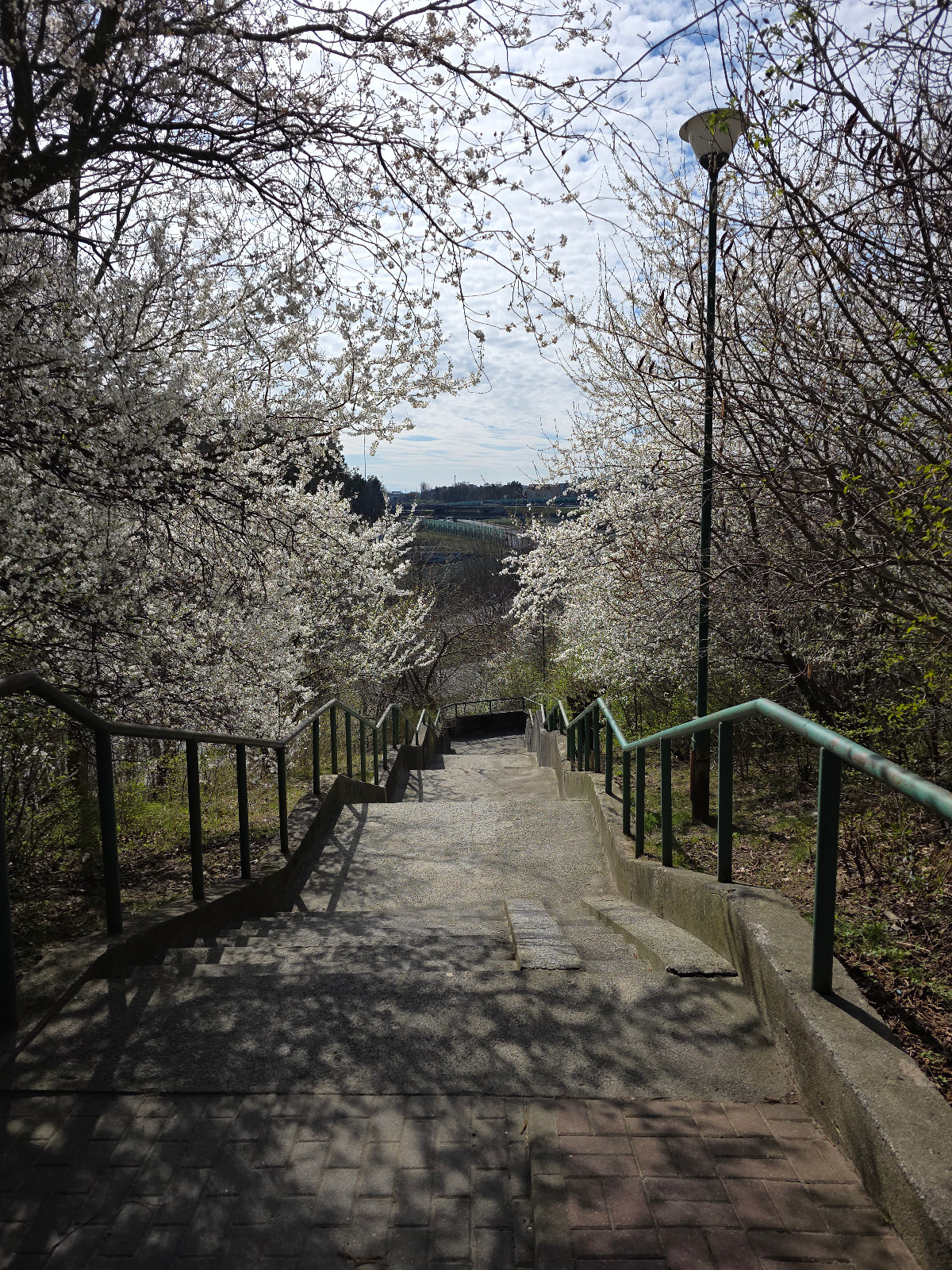 1be6cfec-43bd-4080-b678-8d6ac3609240