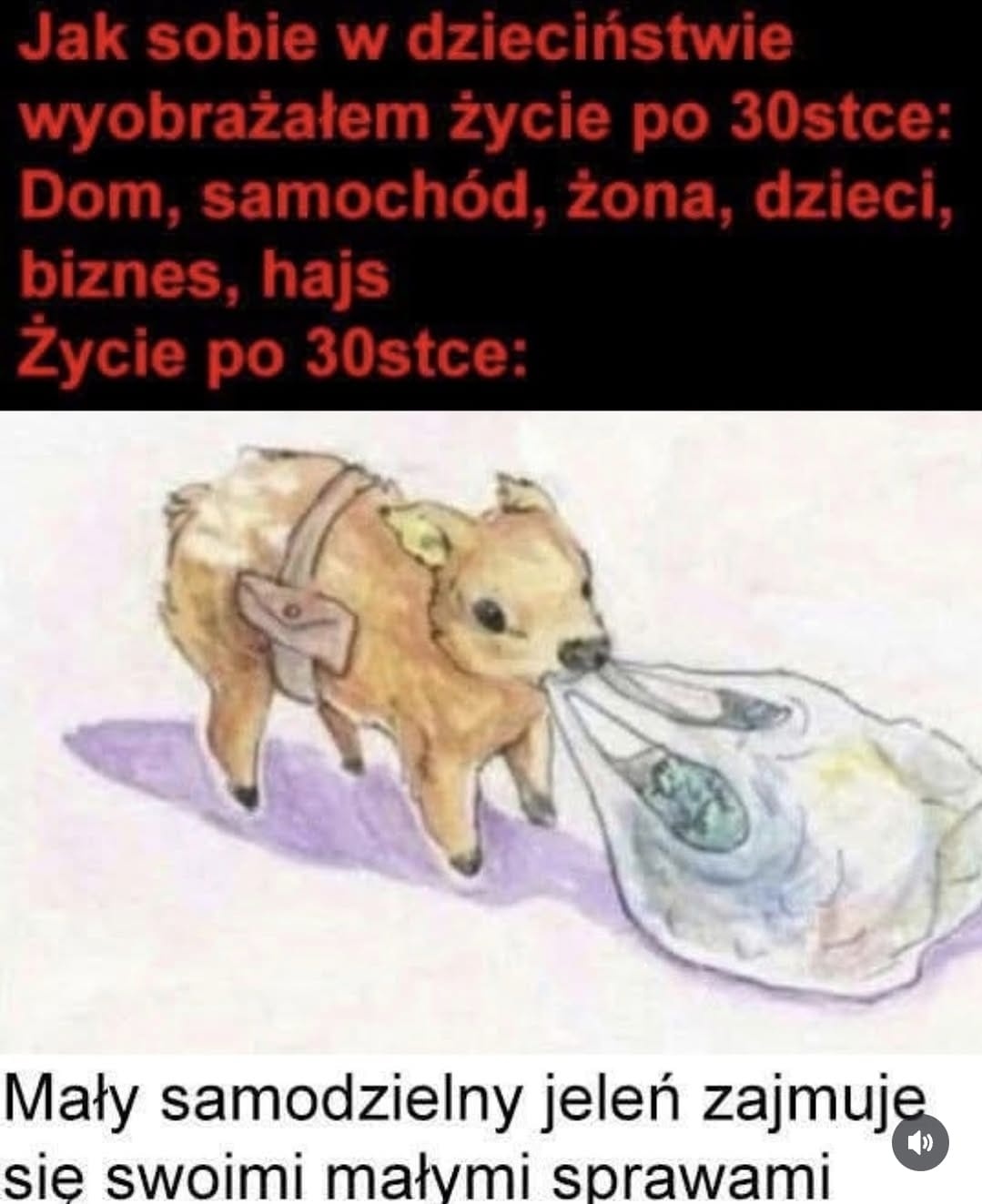 2dc86699-91b6-4429-bf9e-e89d8785e914