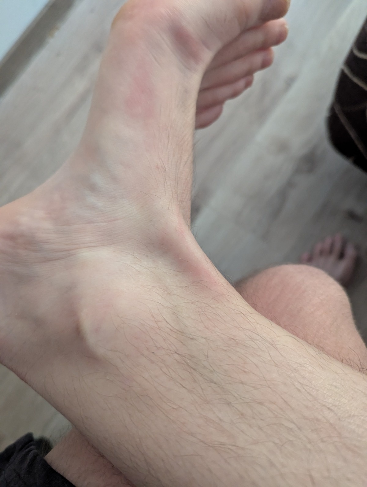 eec3eb55-0d4e-46db-a372-f1250a5d5e59