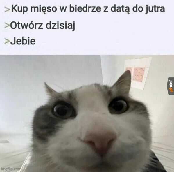 d9e3dbca-645a-4ce9-baf0-8deb0a44a644