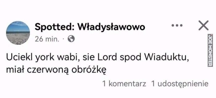 d88f18c1-4d85-44b1-90f9-67cf5ca2fc82