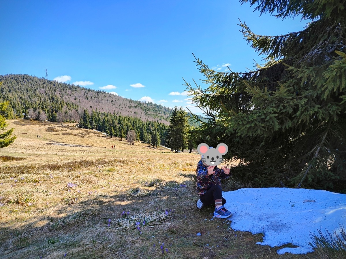 be130b68-a85d-4fe2-ae45-6c2a3a966697