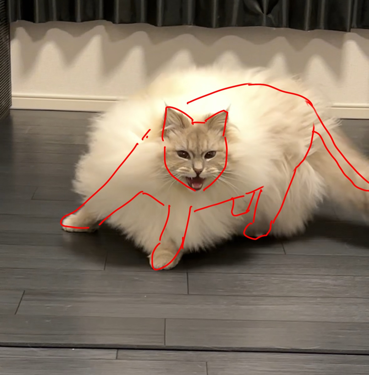 0c1e9216-84fb-4638-a0cc-ae8342058a3b