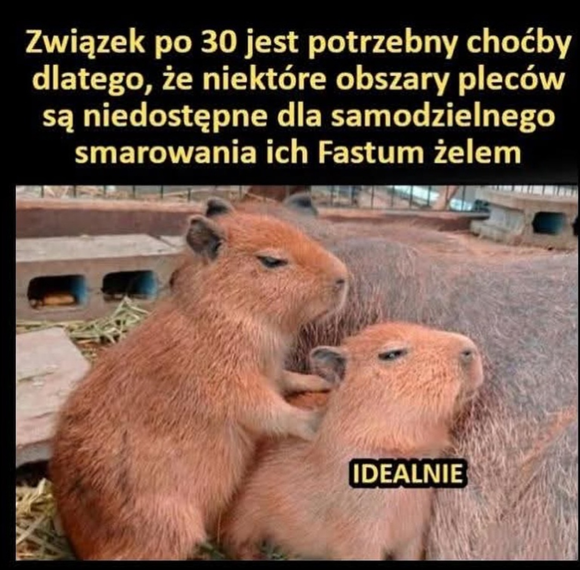 a110675a-2a6b-4fcd-a656-bd5ee0c2a349