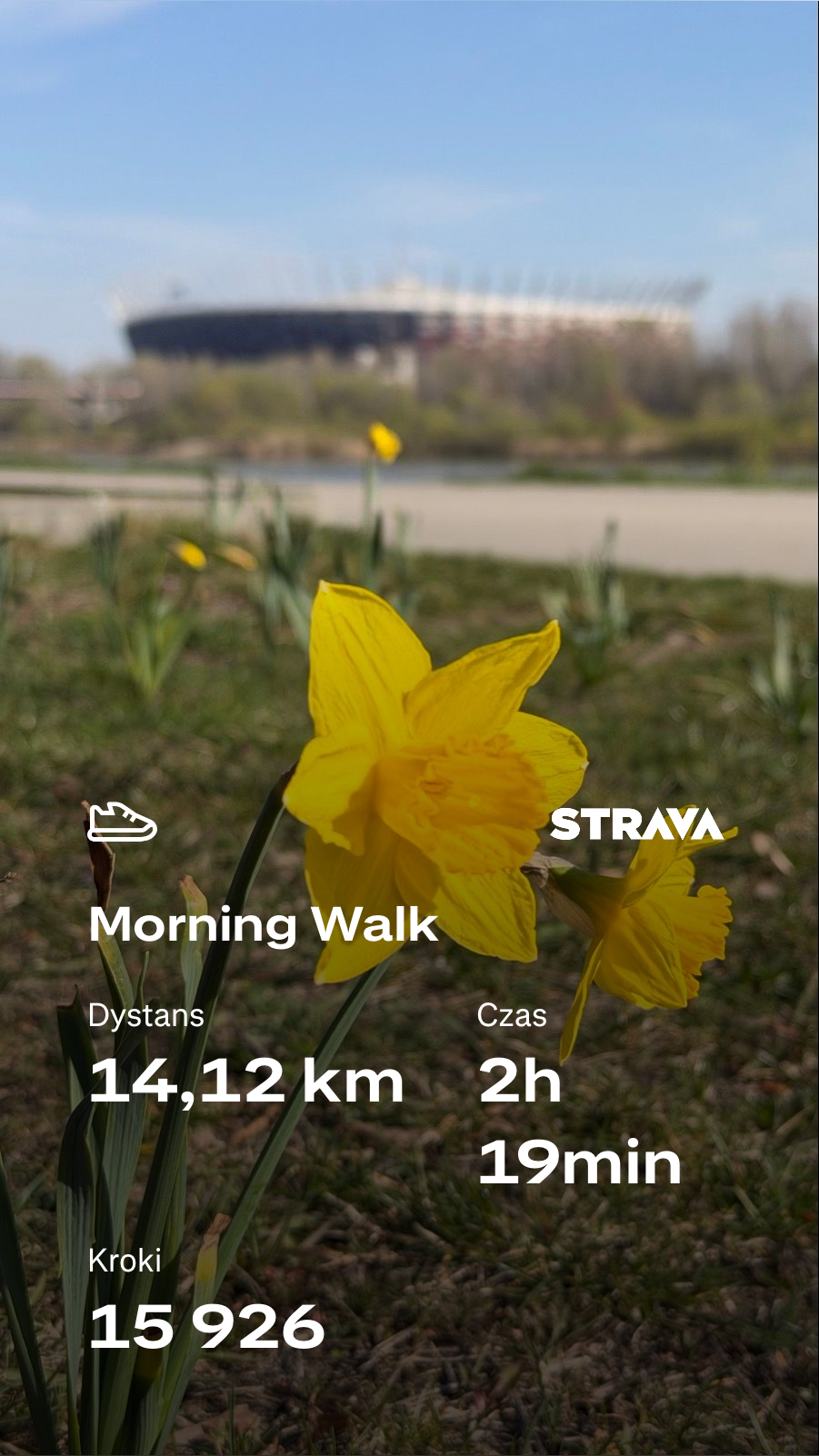 c6c2ddf6-f6b8-4fdb-8bd3-3eb281de995c