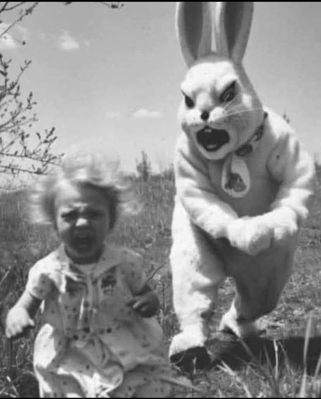 333f63f5-e5a5-4bda-864c-7fe6d434633f