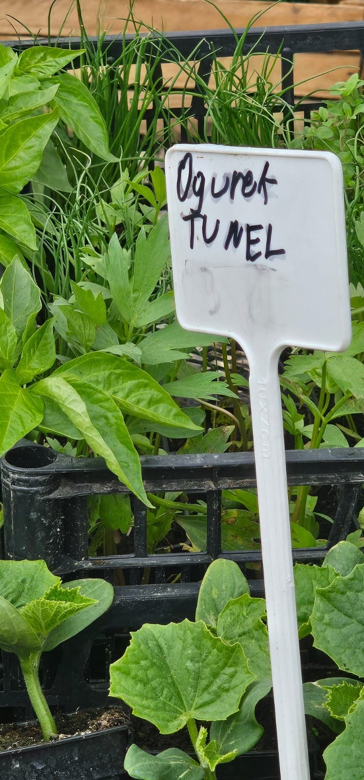 bfadd2a4-ffc0-4d9d-ba1a-019ee03048d2