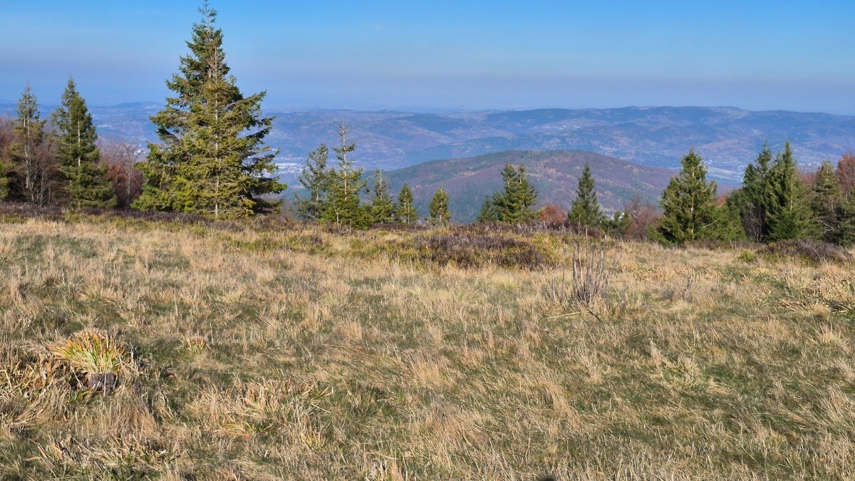 3f4ec259-5205-427e-8a96-79f3db2fb59a