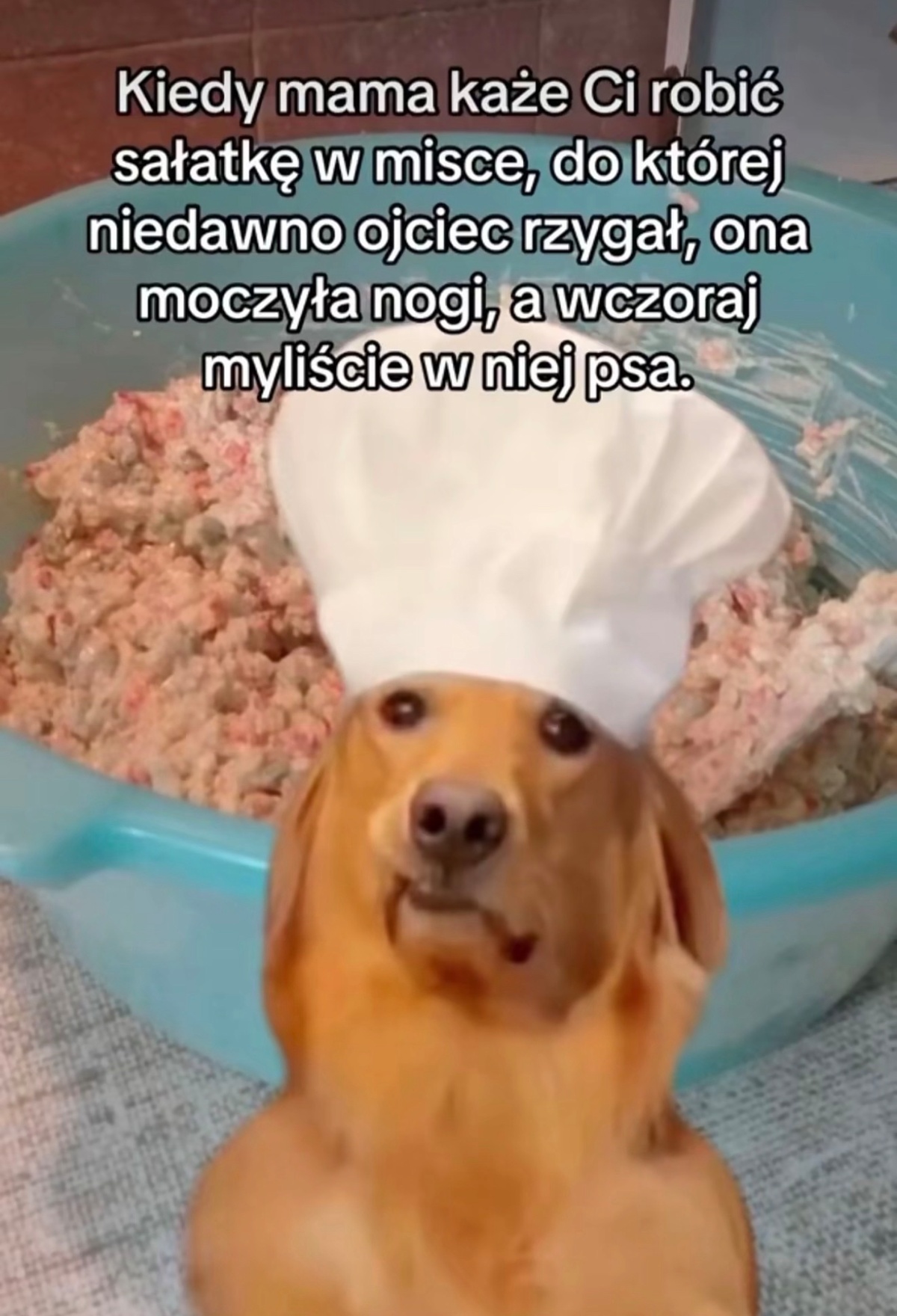 9031f313-8175-4964-a3d7-2577b2330bd1