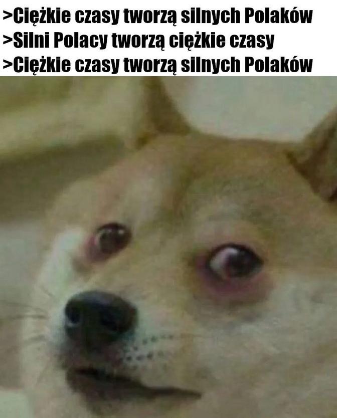 59a9f1a5-85e3-4cb2-8e01-cd2e0b514078