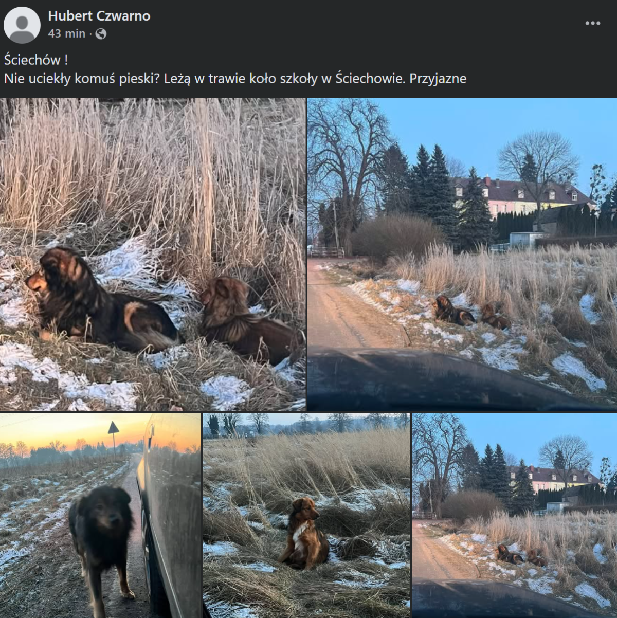 77f5ca62-7664-4f96-934e-440dfe27b214