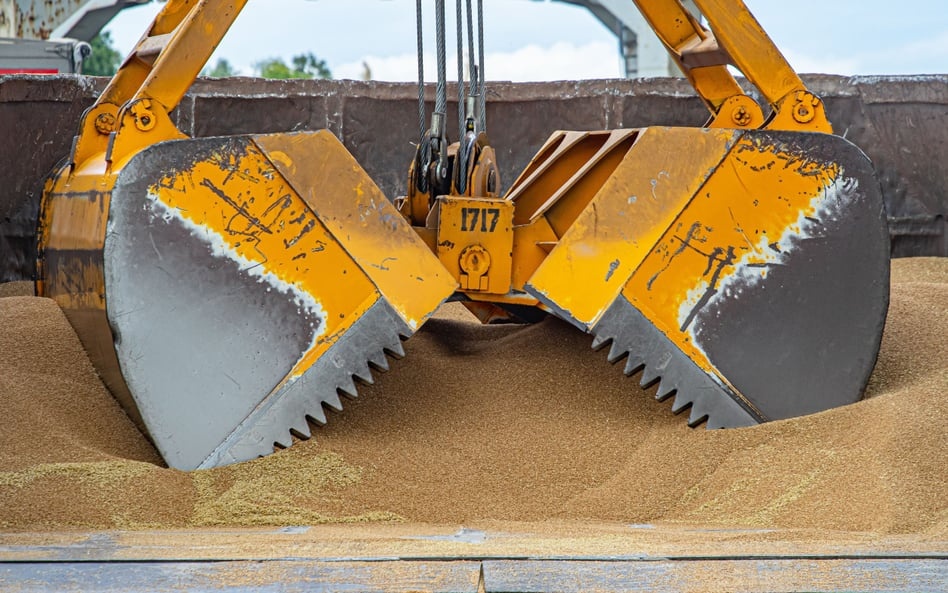 Sądy karzą za aferę zbożową. Symbolicznie