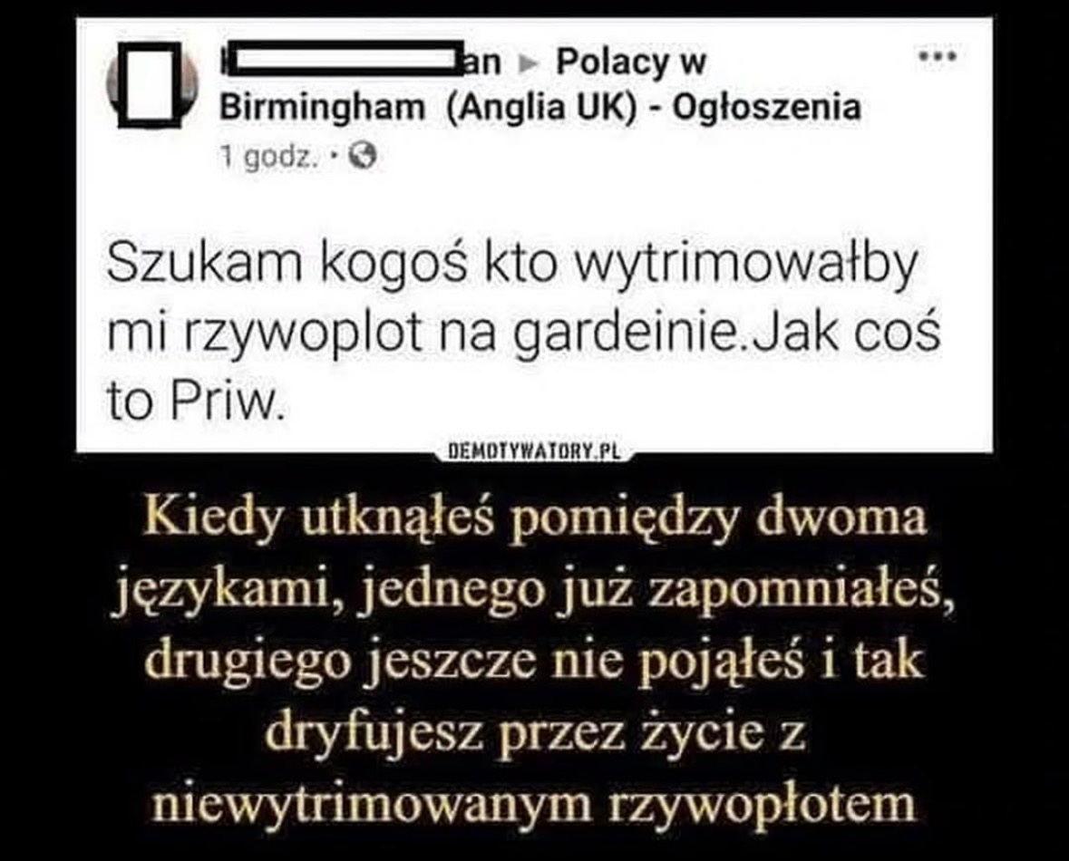 dce11272-9f17-4213-bd66-b785aadbb096