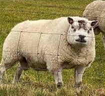 24997f95-d731-45f0-8df1-24aab85c48ff