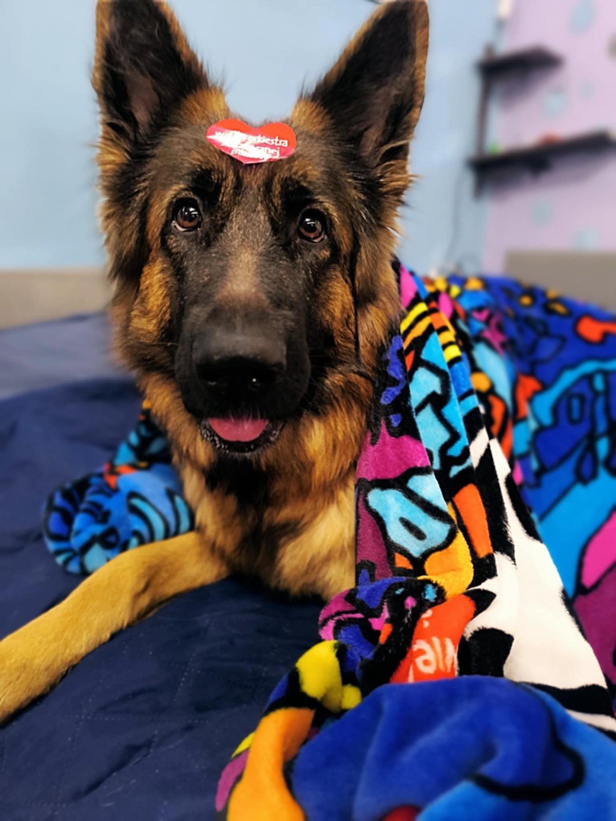 23b2e25c-e928-48cf-8a5f-d7ad1d947c6d