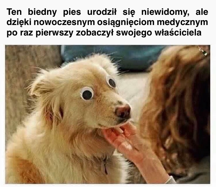 4fa23dbe-6bf3-410f-869d-a97869b6bc7c