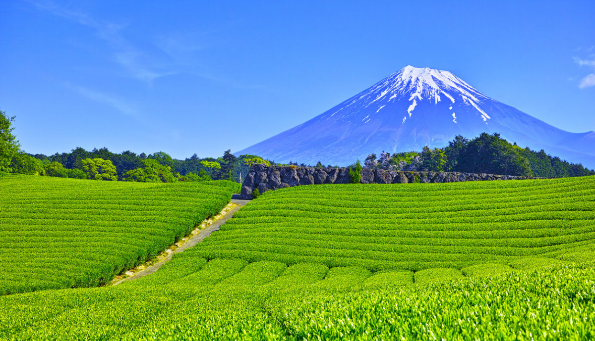 699803d7-6984-4d96-99cf-bc55c6a022bf