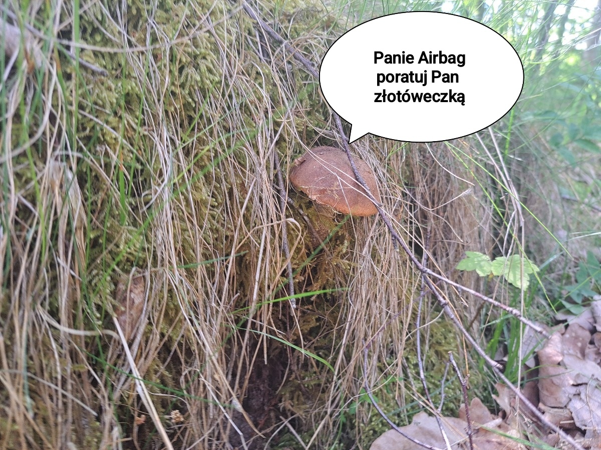 fdcdd224-9683-4435-bcf4-498ddee2d35a