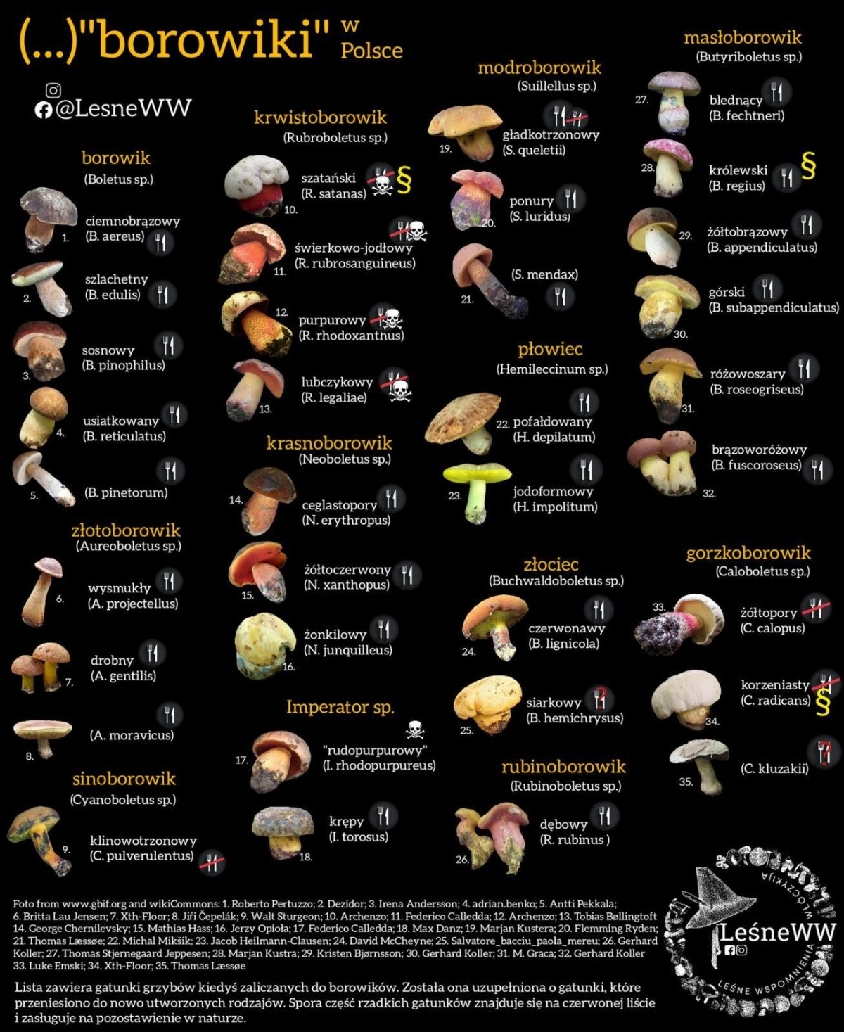 fe01ba4c-2d05-4e6c-b5a8-b548f1097ef9