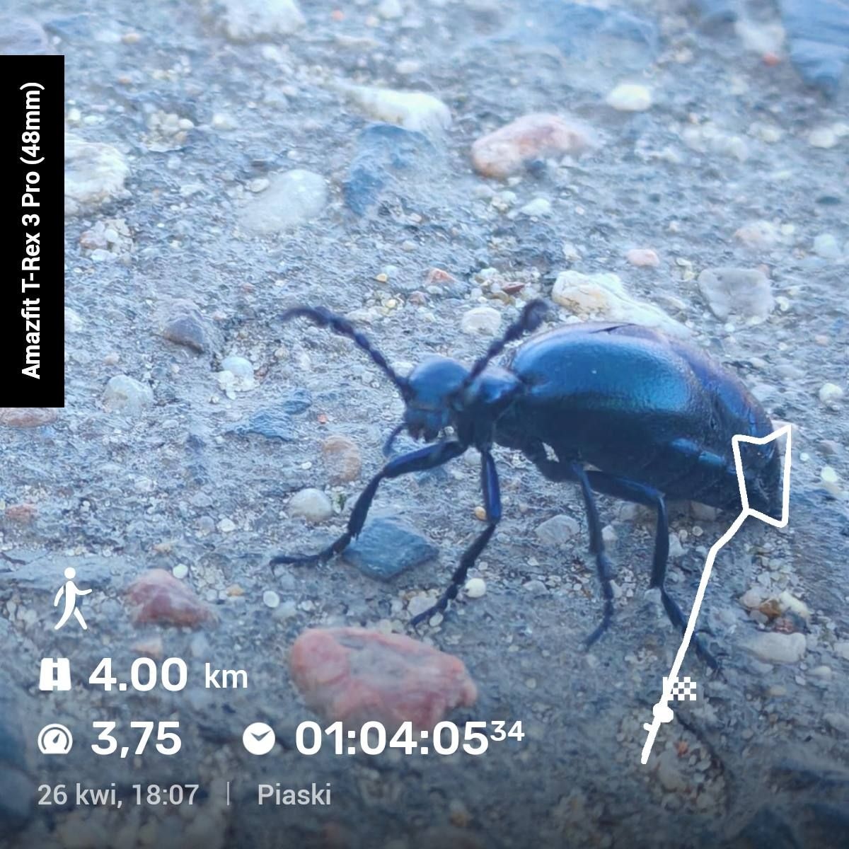 151813b3-2244-4c89-9325-949689033096