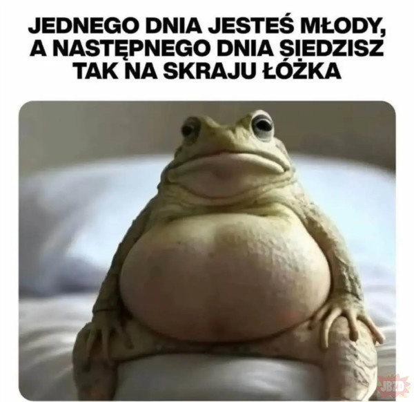 0eef7cfb-9402-4d33-850f-b1128d0aec99